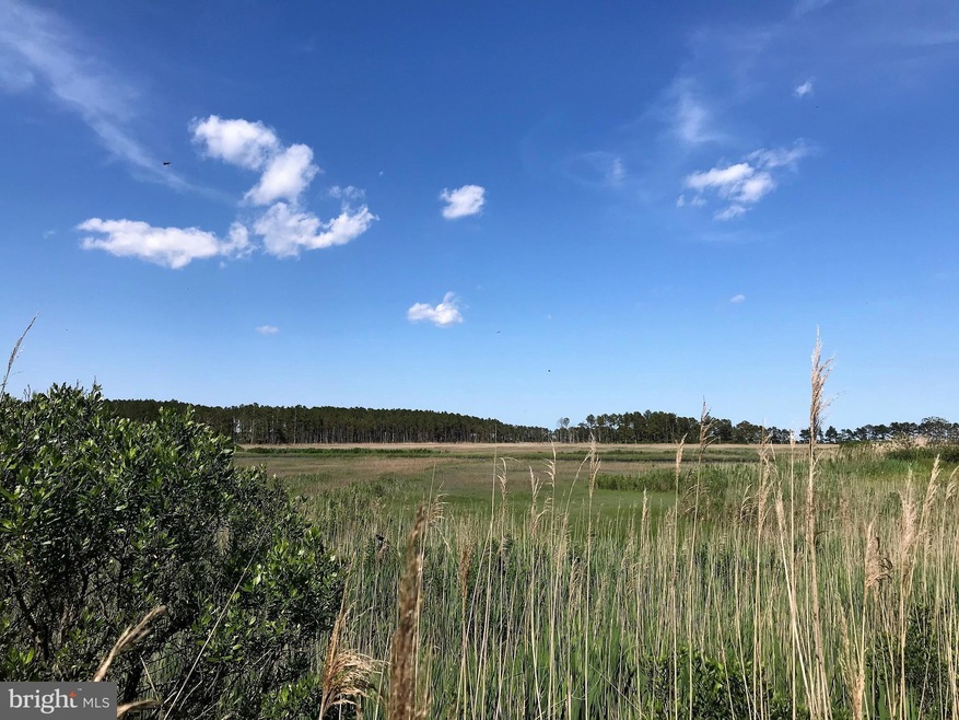 0 Basin Rd Unit DESU142788, Oak Orchard, DE 19966 MLS DESU142788