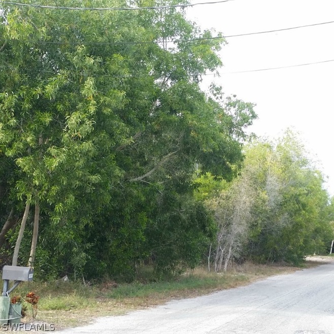 11911 Oakland Dr, Pine Island Center, FL 33922 - photo 1