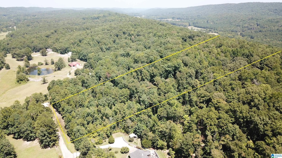 Beautiful wooded property with building sites to g