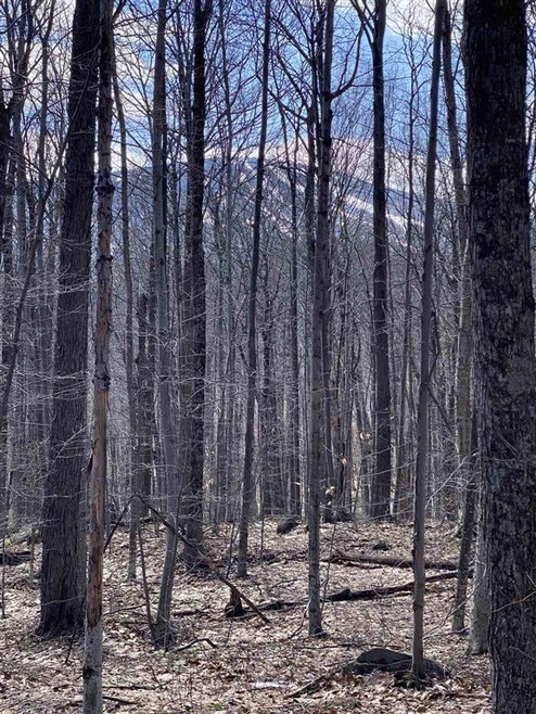 00 Sugarbush Rd unit 7.1,7.2,7.4,7/5, Winhall, VT 05340 - photo 1