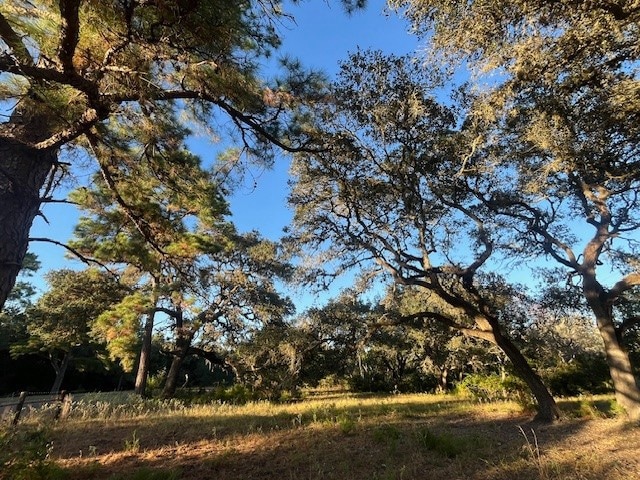 1311-B Alleyton Rd, Columbus, TX 78934 - photo 1