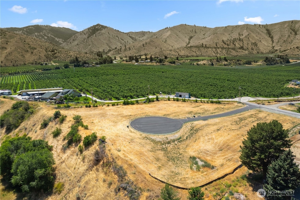 6 Penstemon Ln, Monitor, WA 98836 - photo 1