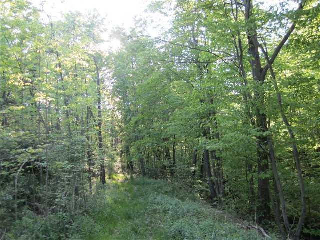 Land