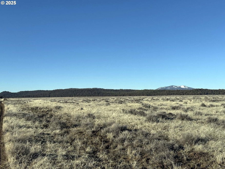 0 Rim Dr unit 9 345678752, Chiloquin, OR 97639 - photo 1