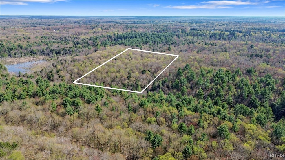 0 Island Rd unit S1604113, Albion, NY 13493 - photo 1