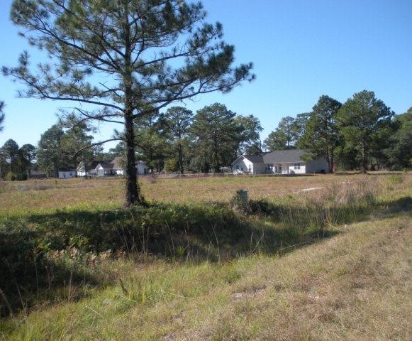 Lot 7 Blounts Crossing, Darien, GA 31305 - photo 1