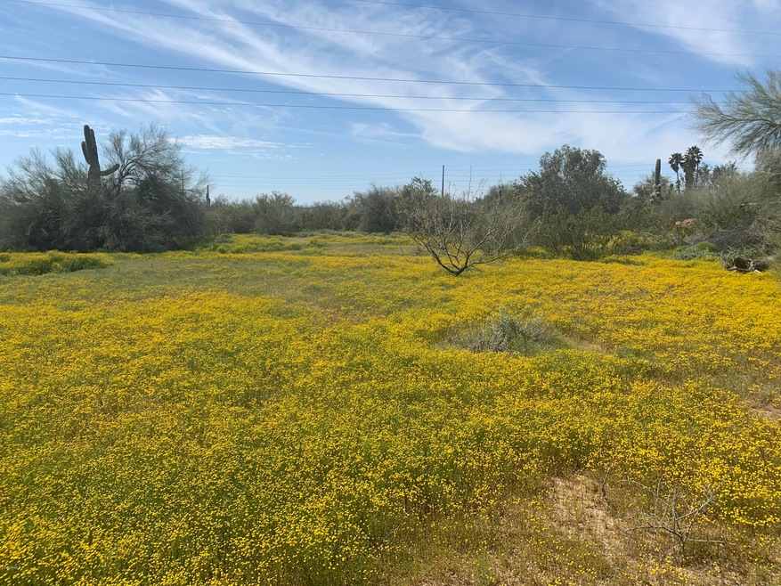 5686 E Red Bird Rd, Scottsdale, AZ 85266 - photo 1