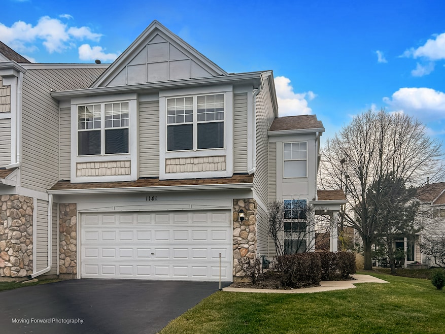 1141 Delta Ct unit 255E, Elgin, IL 60123 - photo 1