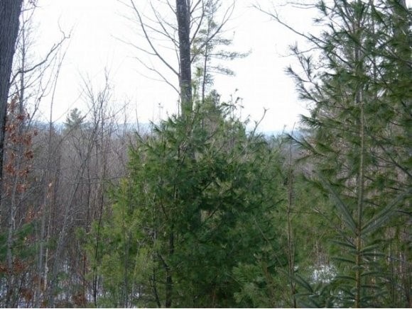 0 Williams Rd unit 4039872, Orange, NH 03741 - photo 1