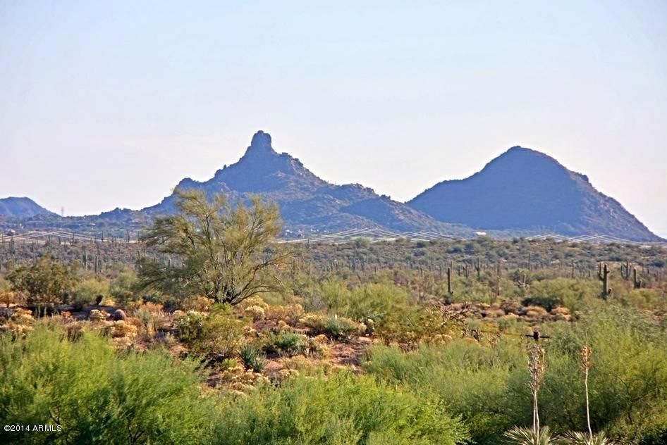 Lot 260 Views 4