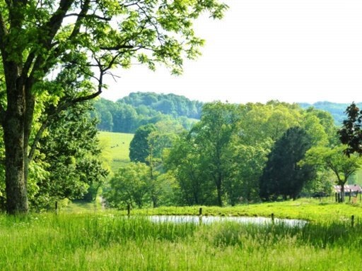 2530 Jellicorse Rd, Morristown, TN 37814 - photo 1