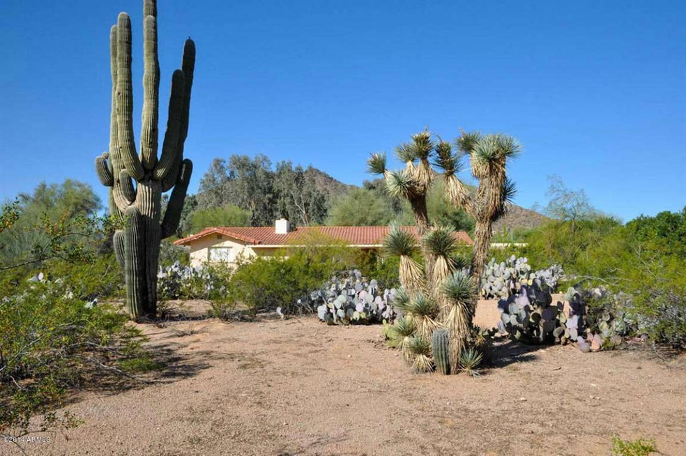 Cactus Gardens