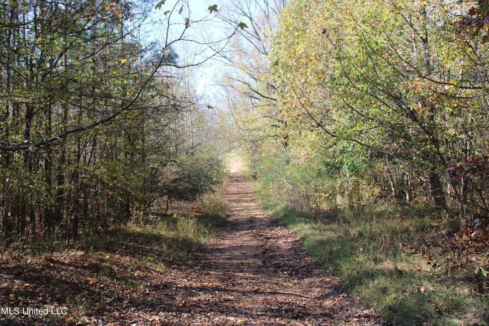 5123 Highway 51 S, Hernando, MS 38632 - photo 1