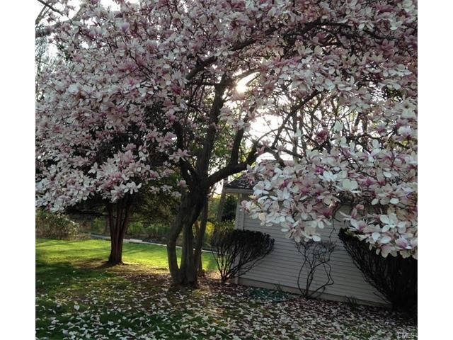 4 Sasqua Pond Rd, Norwalk, CT 06855 - photo 1