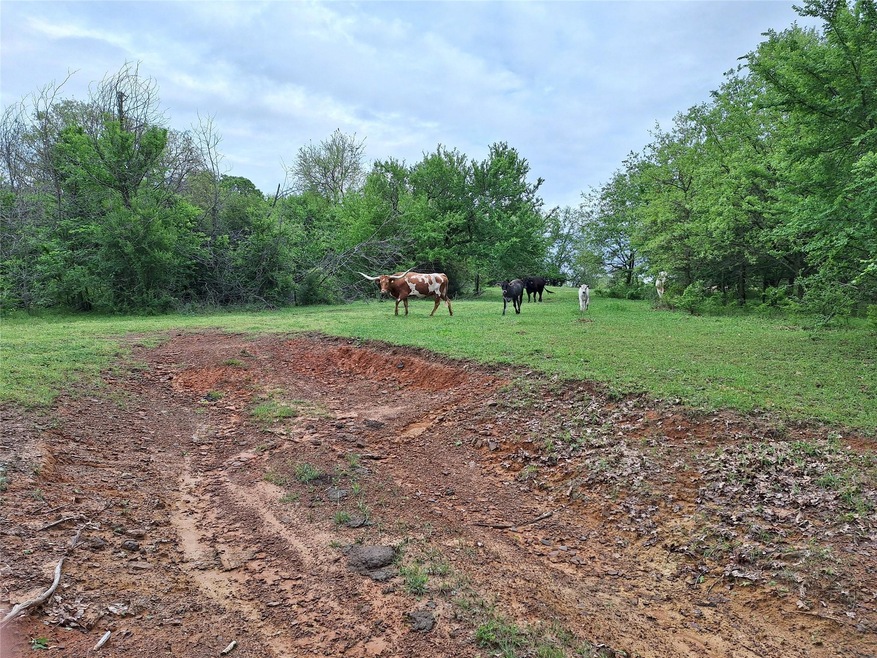 TBD County Road 224, Gainesville, TX 76240 - photo 1