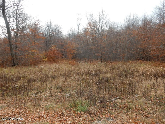 lot 13 pole bridge