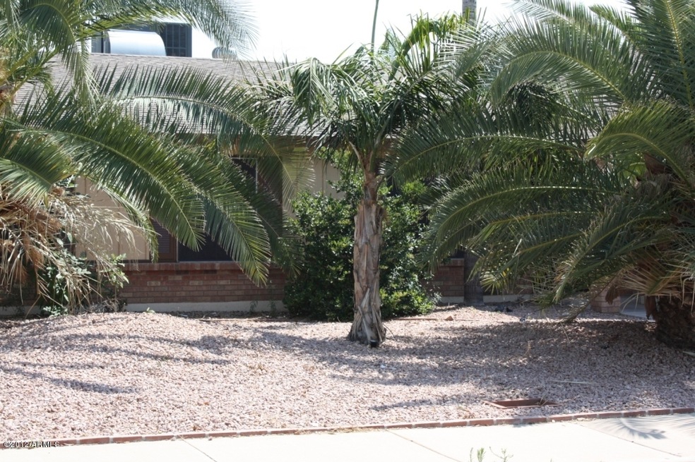 FRONT PALMS