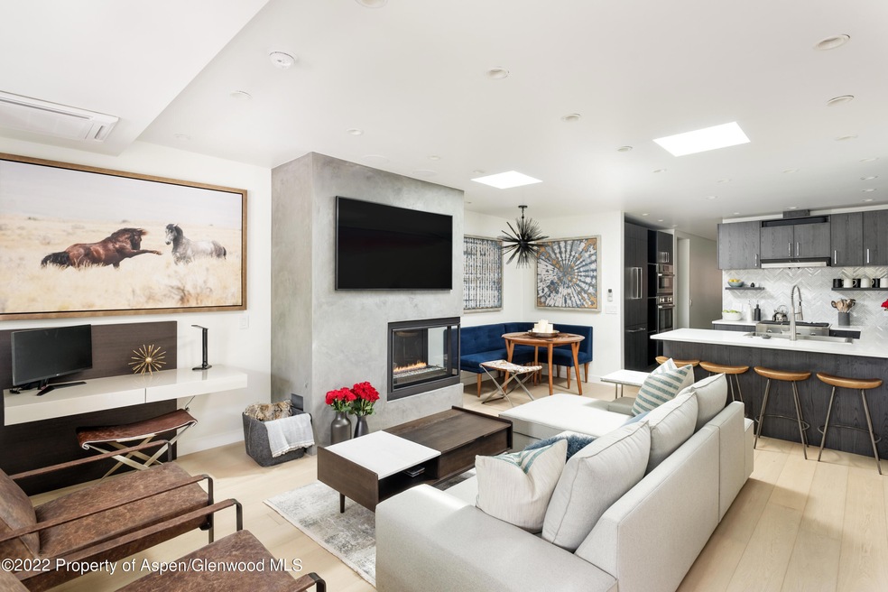 450 S Original St unit 8, Aspen, CO 81611 - photo 1