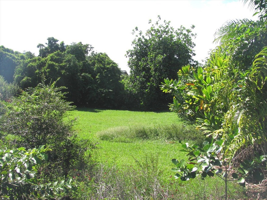 40 Kupaa St, Hilo, HI 96720 - photo 1