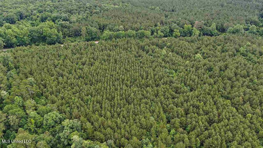 02 Highway 28, Mize, MS 39116 - photo 1