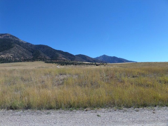 Main View