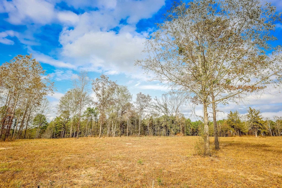 26 AC Cr 3103, Winona, TX 75792 - photo 1