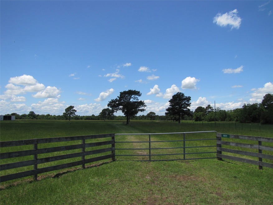 0 Hopfe Rd unit 84000426, Hockley, TX 77447 - photo 1