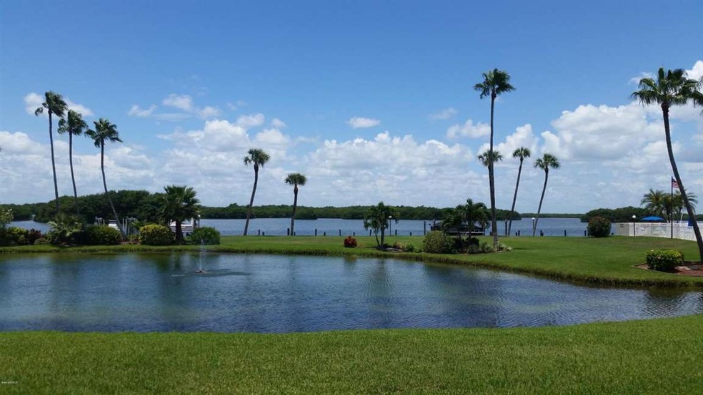 Your Backyard!