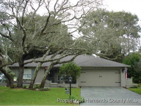 6195 Burning Tree Ln, Spring Hill, FL 34606 - photo 1