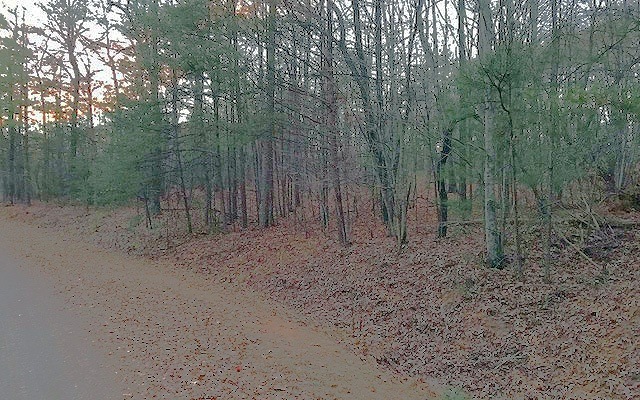Main View