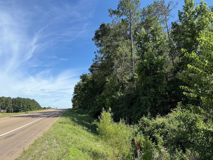 2 +/- Acres Hwy 49, Collins, MS 39428 - photo 1