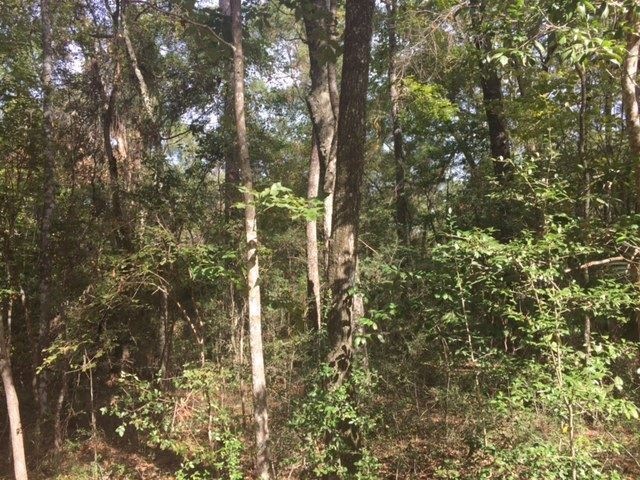 LOT 2 River Plantation Rd, Crawfordville, FL 32327 - photo 1