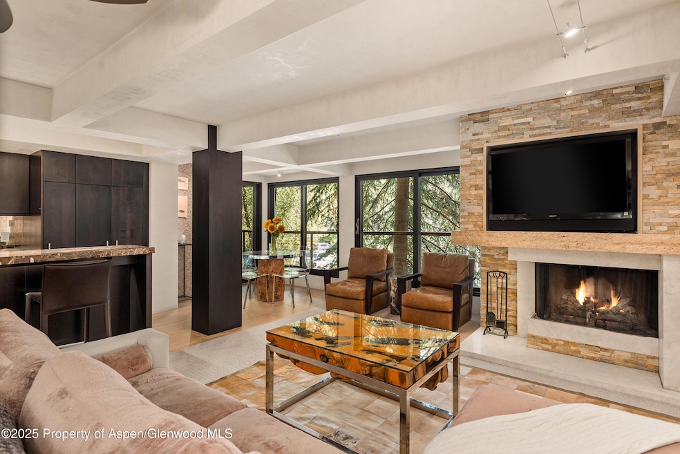 1034 E Cooper Ave unit 26A, Aspen, CO 81611 - photo 1