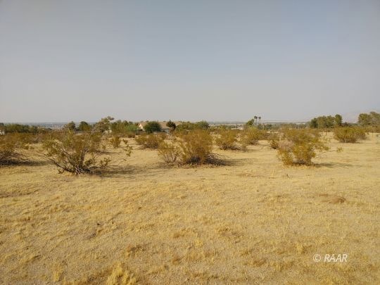 College Heights 2.54 Acre