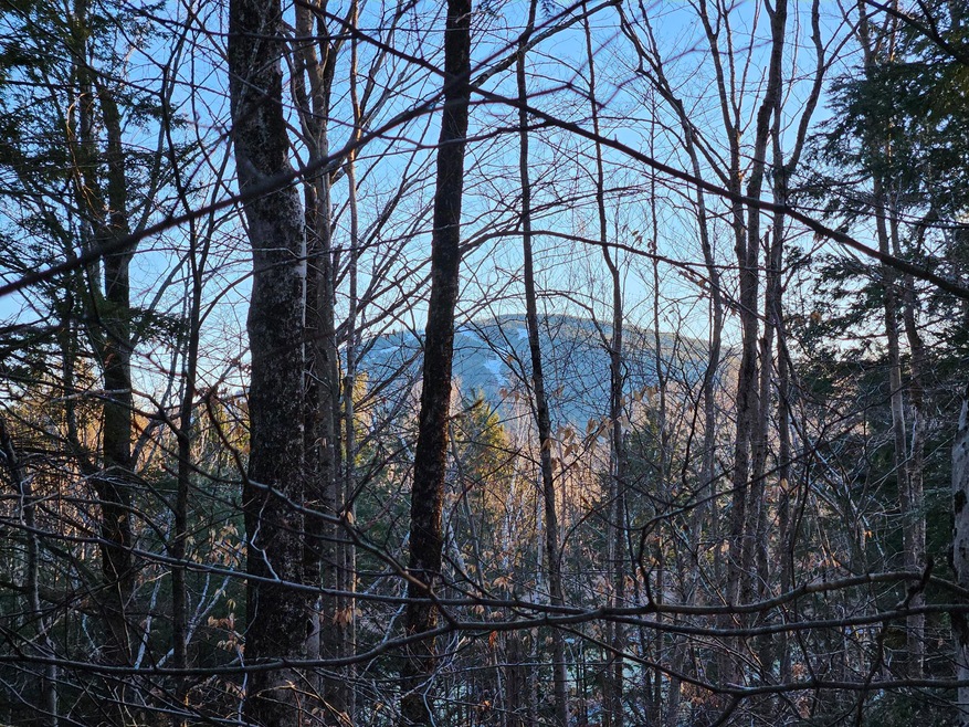 41-4 Tanner Way, Bridgton, ME 04009 - photo 1