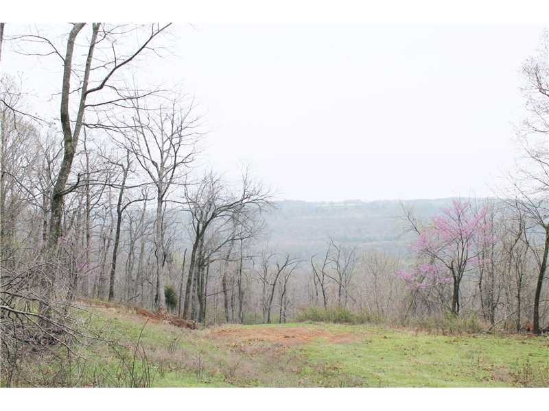 0 Bug Scuffle Rd unit 704270, West Fork, AR 72774 - photo 1