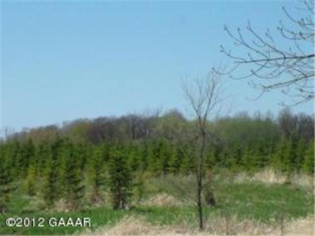 0 Lot 3 Genes Rd SE unit 3566282, Alexandria, MN 56308 - photo 1