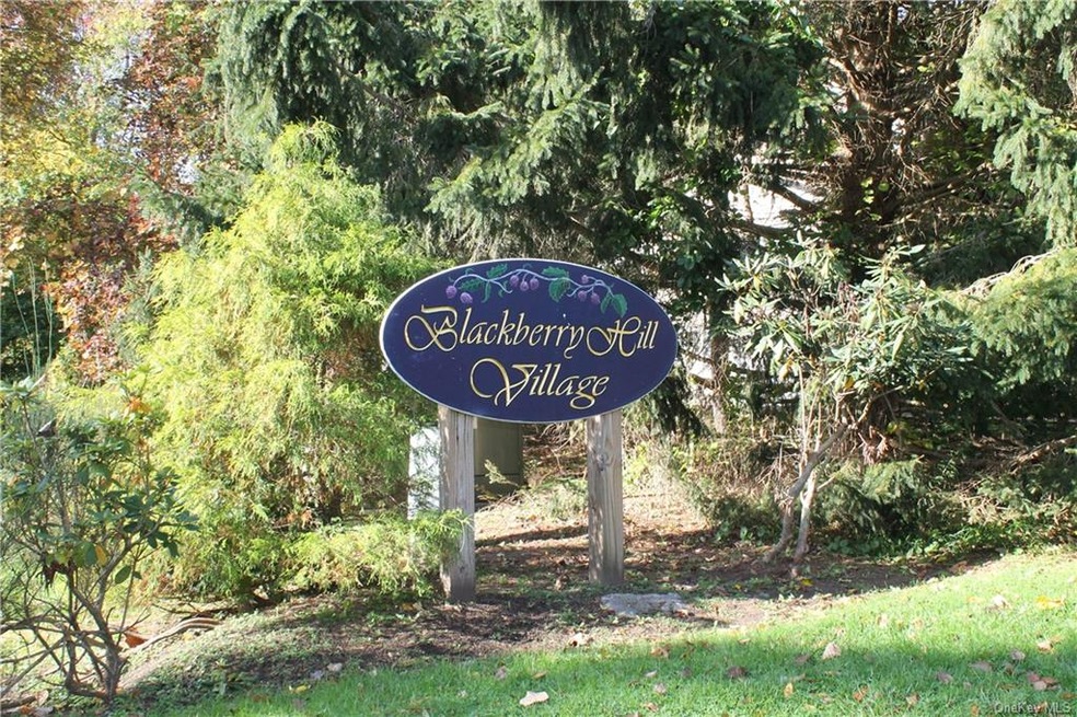 2206 Village Dr unit 2206, Brewster, NY 10509 - photo 1