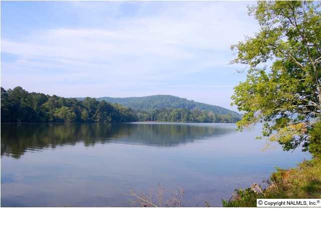 2640 White Elephant Rd, Grant, AL 35747 - photo 1