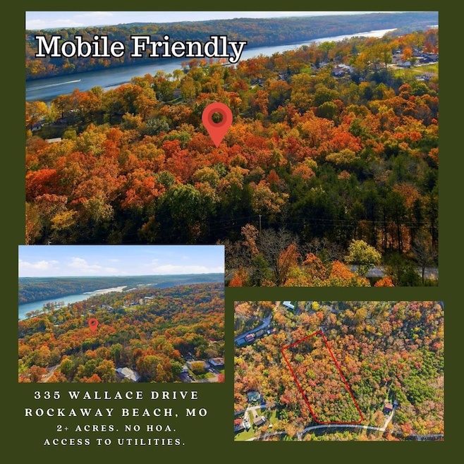 Wintergreen Dr Blue Eye (1)