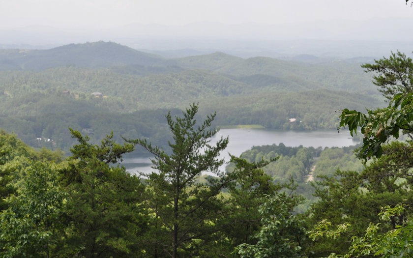 Main View