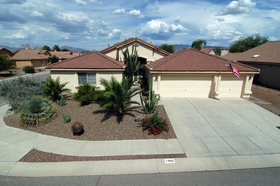 Yucca04