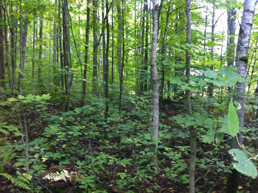 Wooded