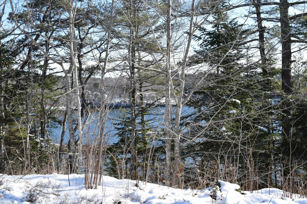 DSC_0957 - Copy
