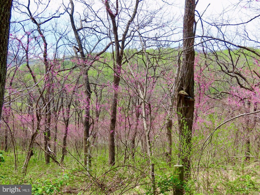 0 Gid Brown Hollow Rd unit VARP2000844, Washington, VA 22747 - photo 1