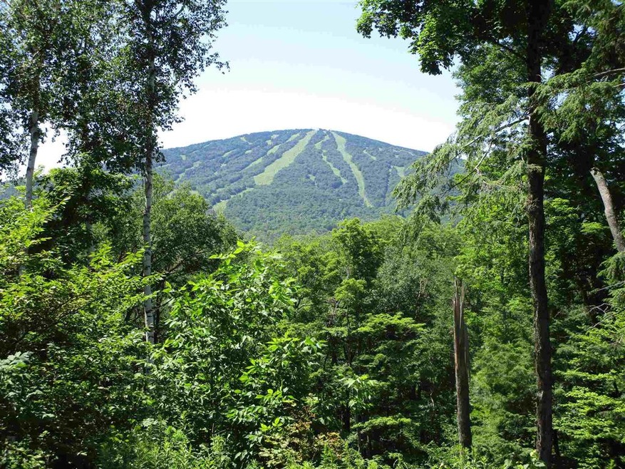 8 Post Oak Rd unit Birch Hill Coop, Winhall, VT 05340 - photo 1