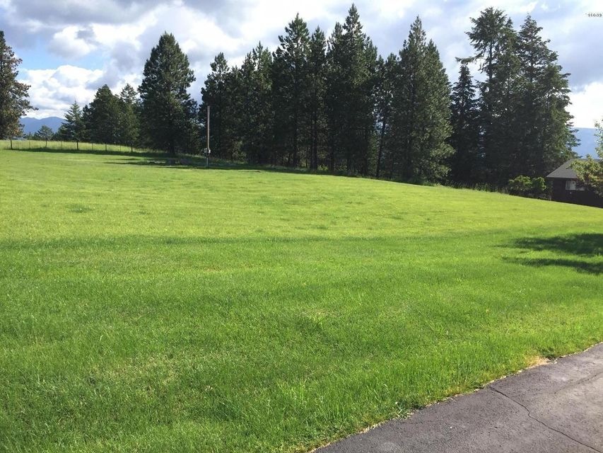 Grass covered lot