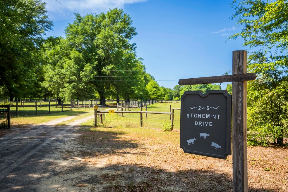 246 Stonemint Drive