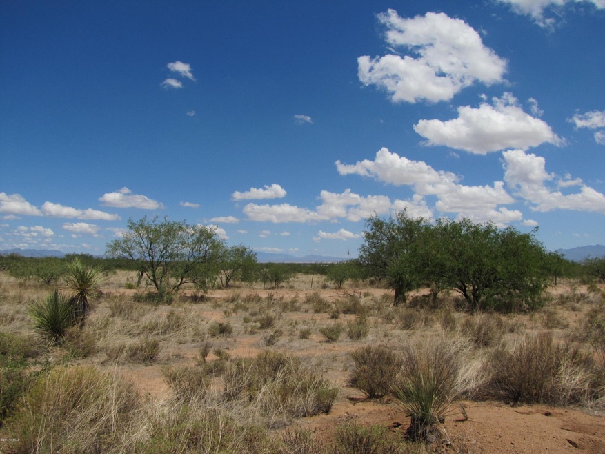 Looking north