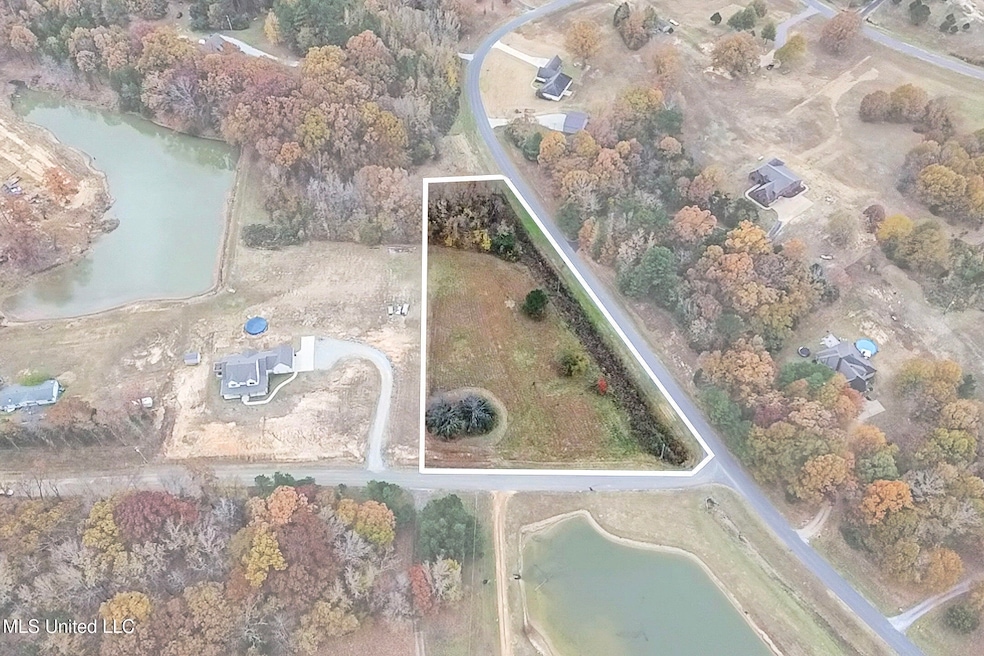 14367 Valley View, Byhalia, MS 38611 - photo 1